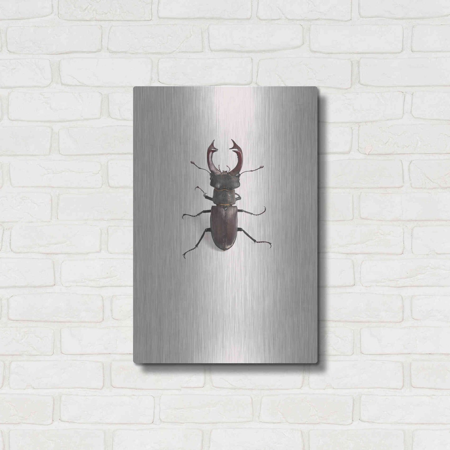 Luxe Metal Art 'Lucanus Cervus' by Incado, Metal Wall Art,16x24