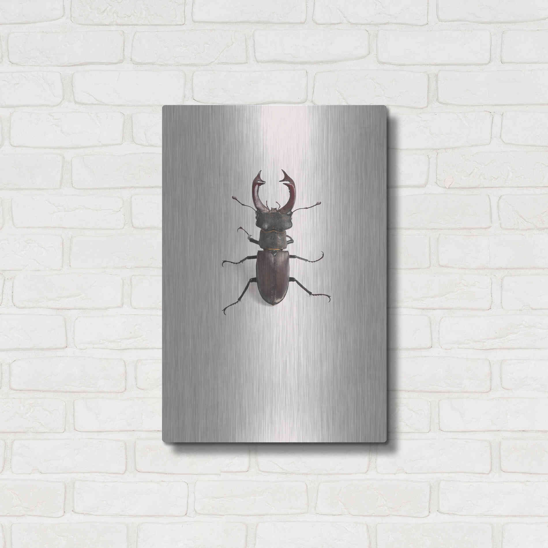 Luxe Metal Art 'Lucanus Cervus' by Incado, Metal Wall Art,16x24