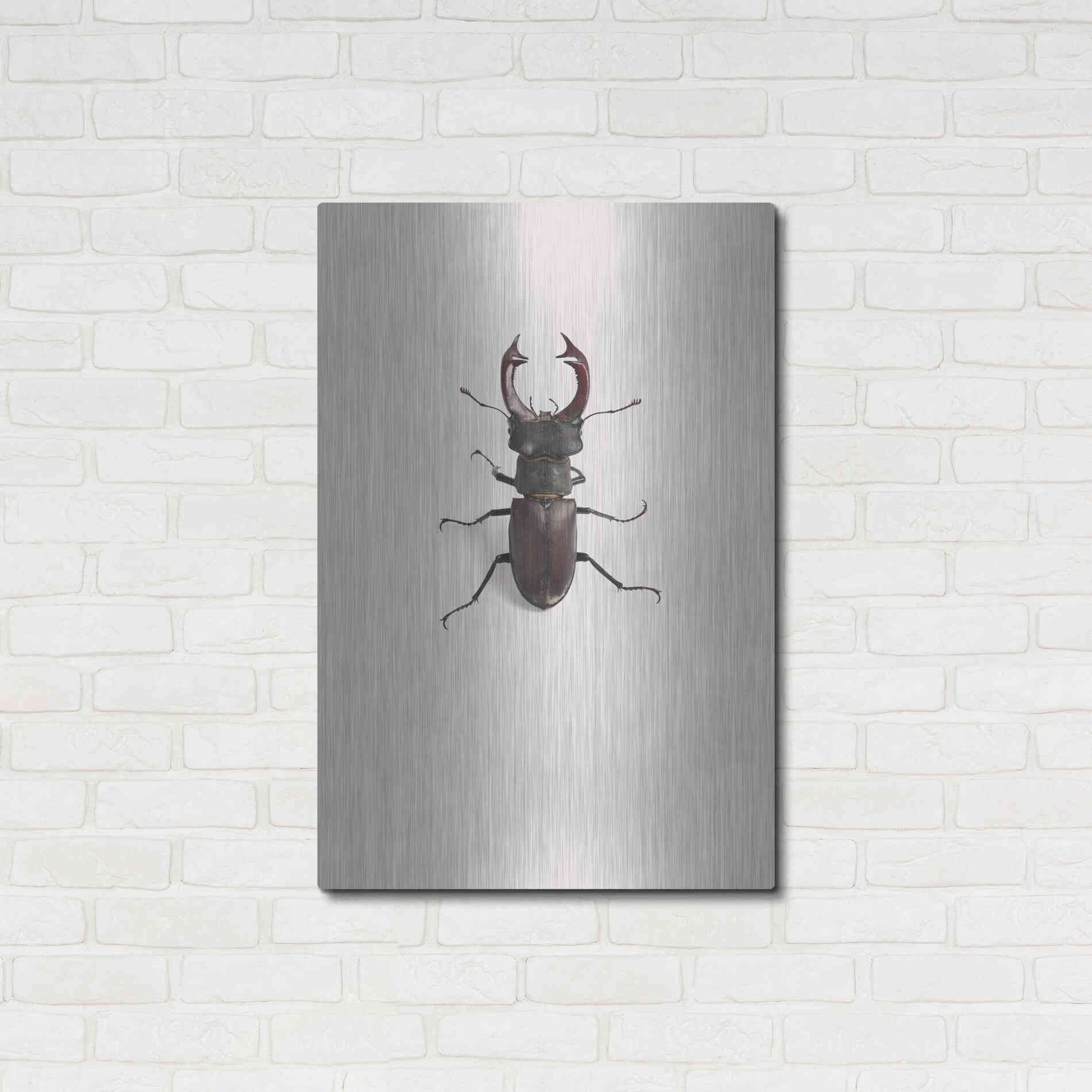 Luxe Metal Art 'Lucanus Cervus' by Incado, Metal Wall Art,24x36