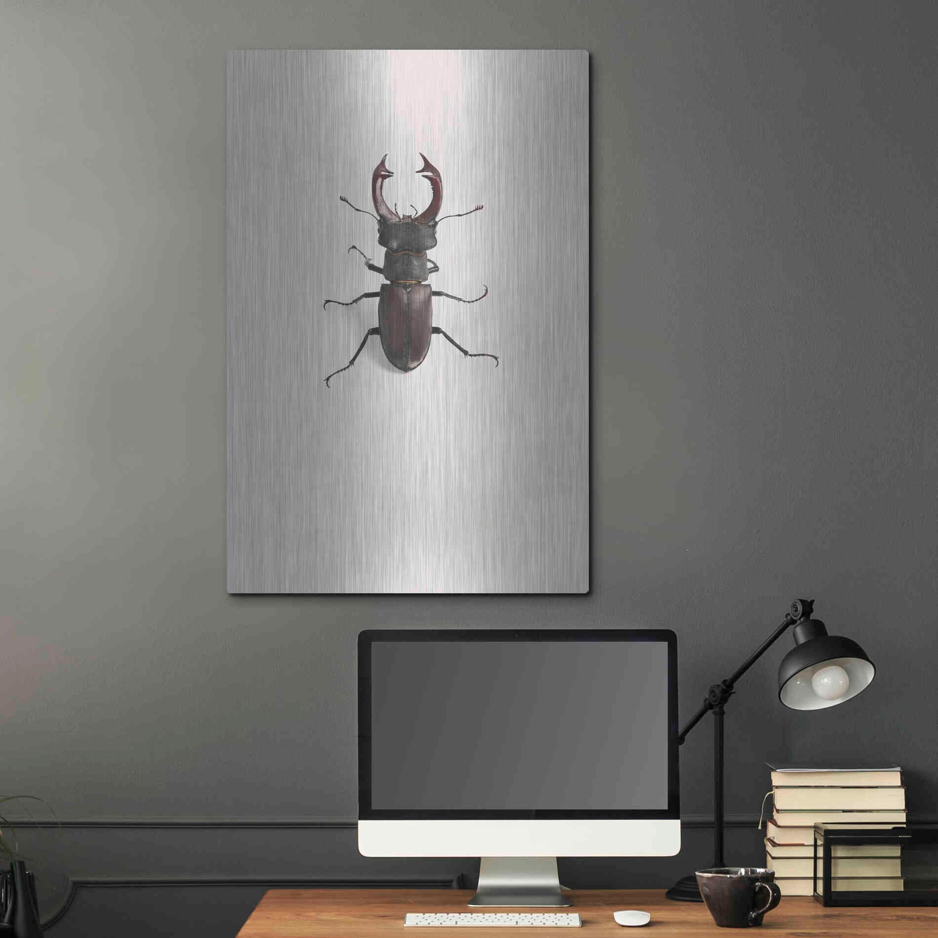 Luxe Metal Art 'Lucanus Cervus' by Incado, Metal Wall Art,24x36