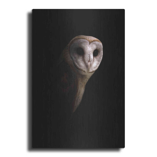Luxe Metal Art 'Owl' by Incado, Metal Wall Art