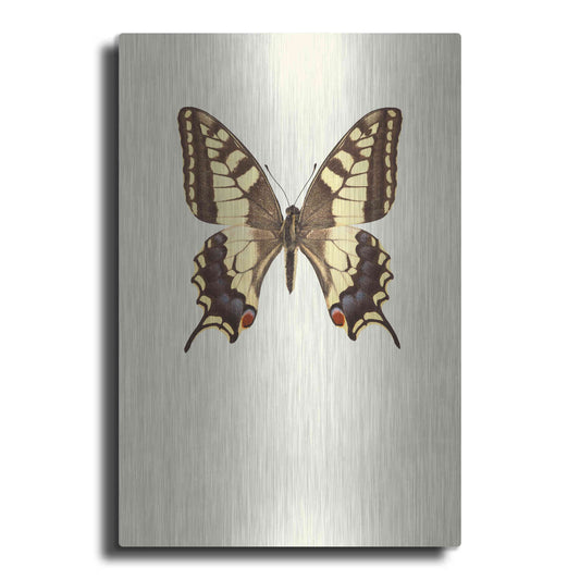 Luxe Metal Art 'Papilio Machaon' by Incado, Metal Wall Art