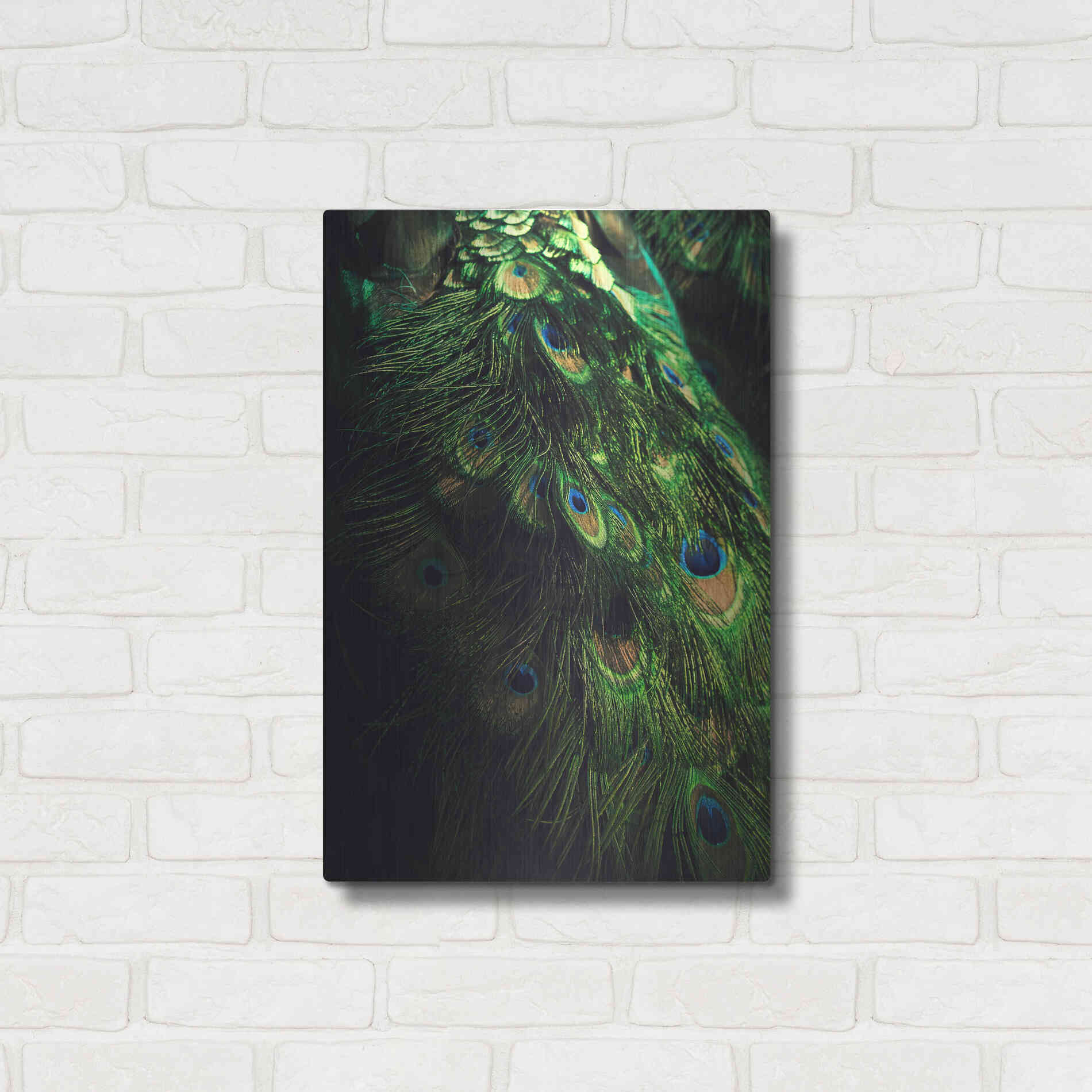 Luxe Metal Art 'Peacock Tail' by Incado, Metal Wall Art,16x24