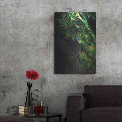 Luxe Metal Art 'Peacock Tail' by Incado, Metal Wall Art,24x36