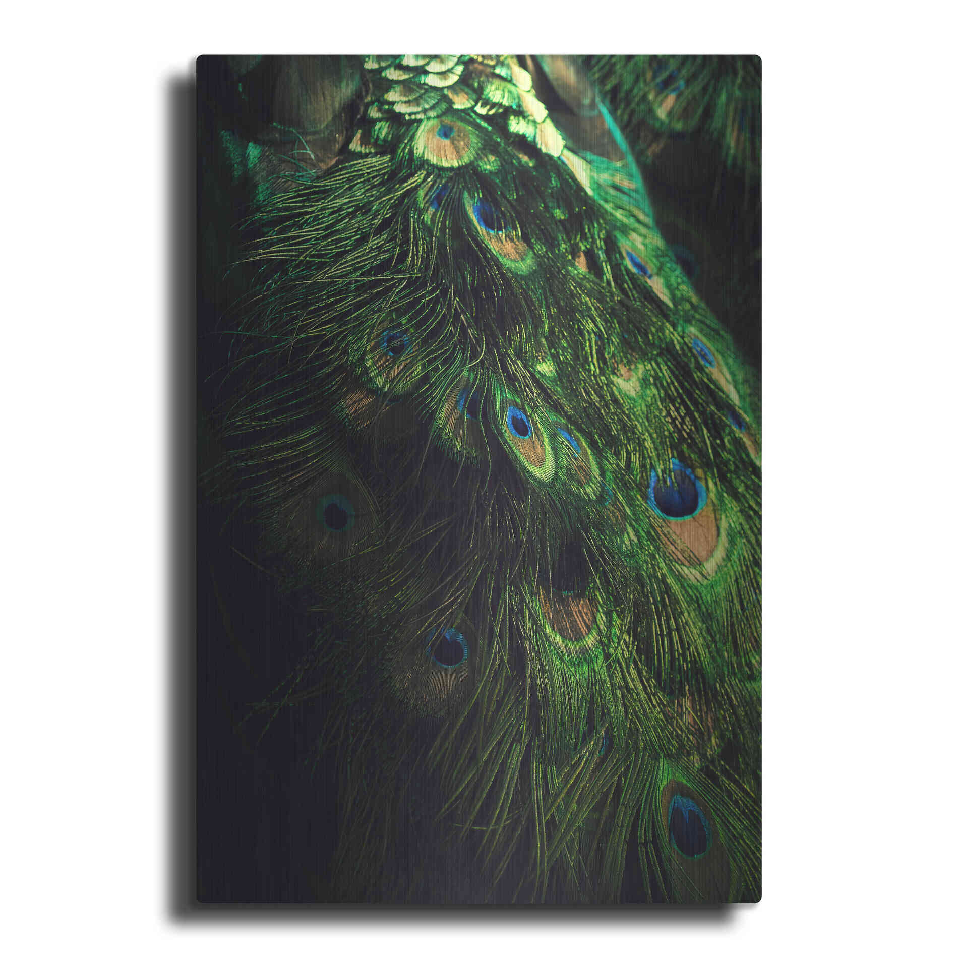 Luxe Metal Art 'Peacock Tail' by Incado, Metal Wall Art