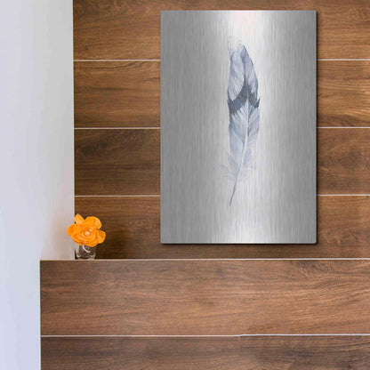 Luxe Metal Art 'Pink Feather' by Incado, Metal Wall Art,12x16