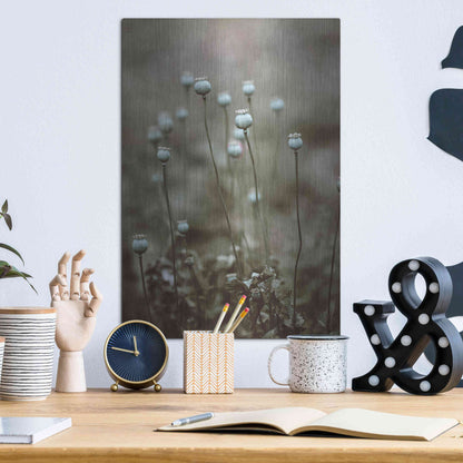 Luxe Metal Art 'Poppy Pods' by Incado, Metal Wall Art,12x16