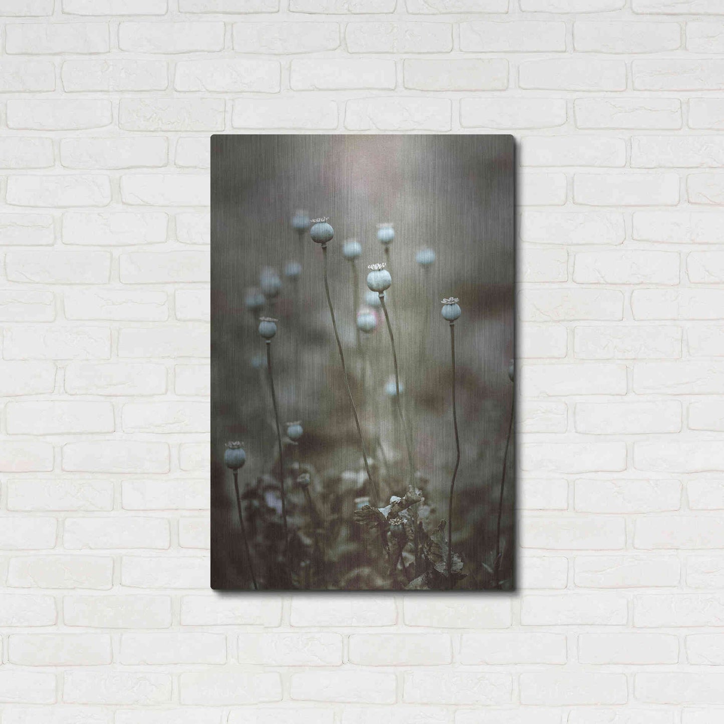 Luxe Metal Art 'Poppy Pods' by Incado, Metal Wall Art,24x36