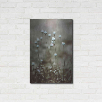 Luxe Metal Art 'Poppy Pods' by Incado, Metal Wall Art,24x36