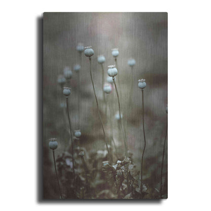 Luxe Metal Art 'Poppy Pods' by Incado, Metal Wall Art