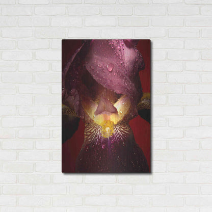 Luxe Metal Art 'Red Flower' by Incado, Metal Wall Art,24x36