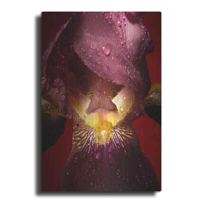 Luxe Metal Art 'Red Flower' by Incado, Metal Wall Art