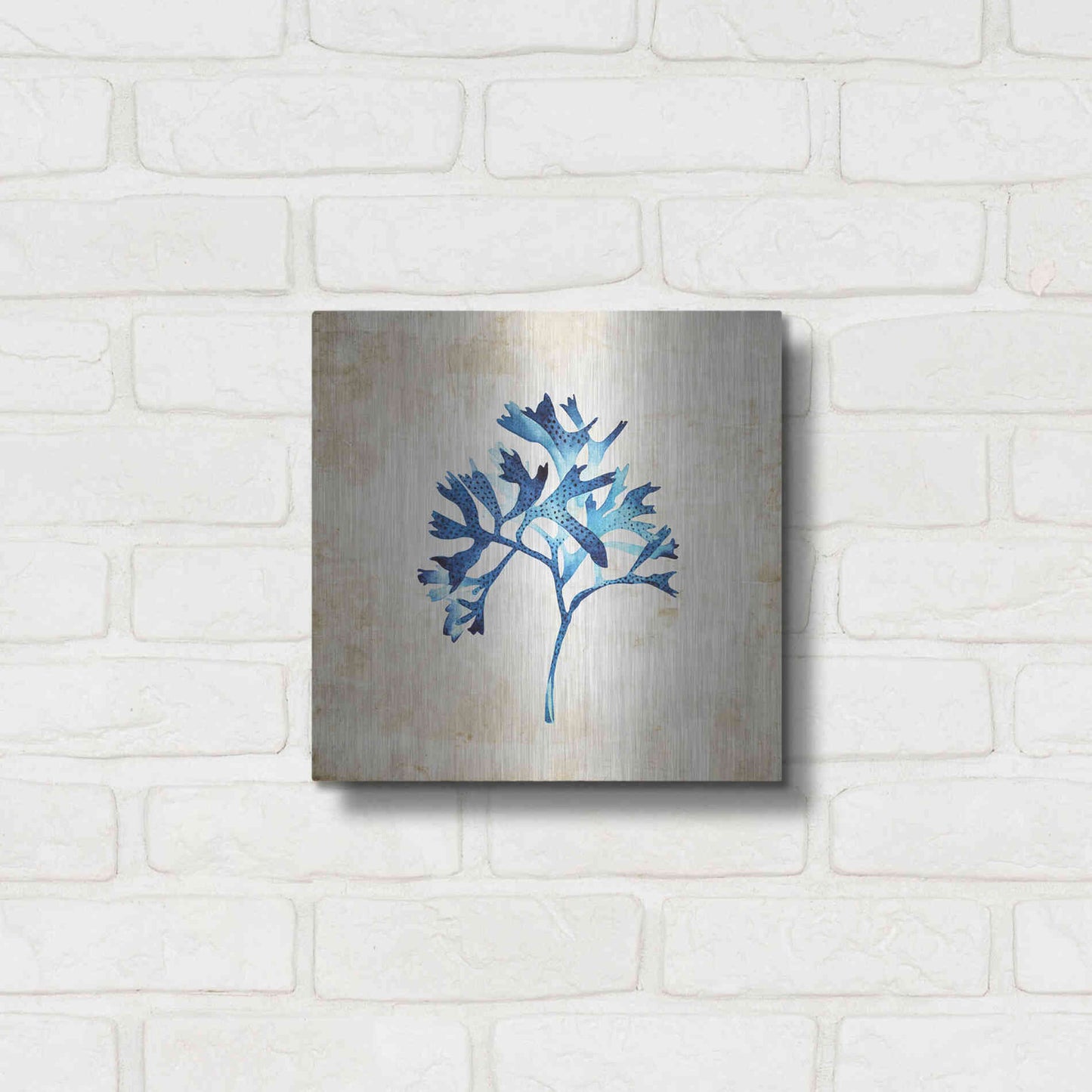 Luxe Metal Art 'Sea Life I' by Incado, Metal Wall Art,12x12