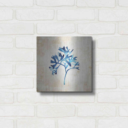 Luxe Metal Art 'Sea Life I' by Incado, Metal Wall Art,12x12