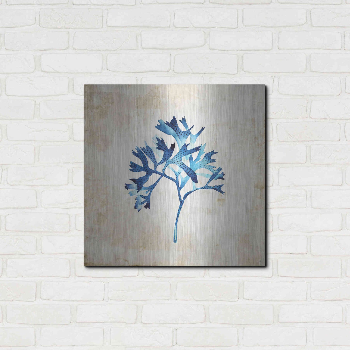 Luxe Metal Art 'Sea Life I' by Incado, Metal Wall Art,24x24