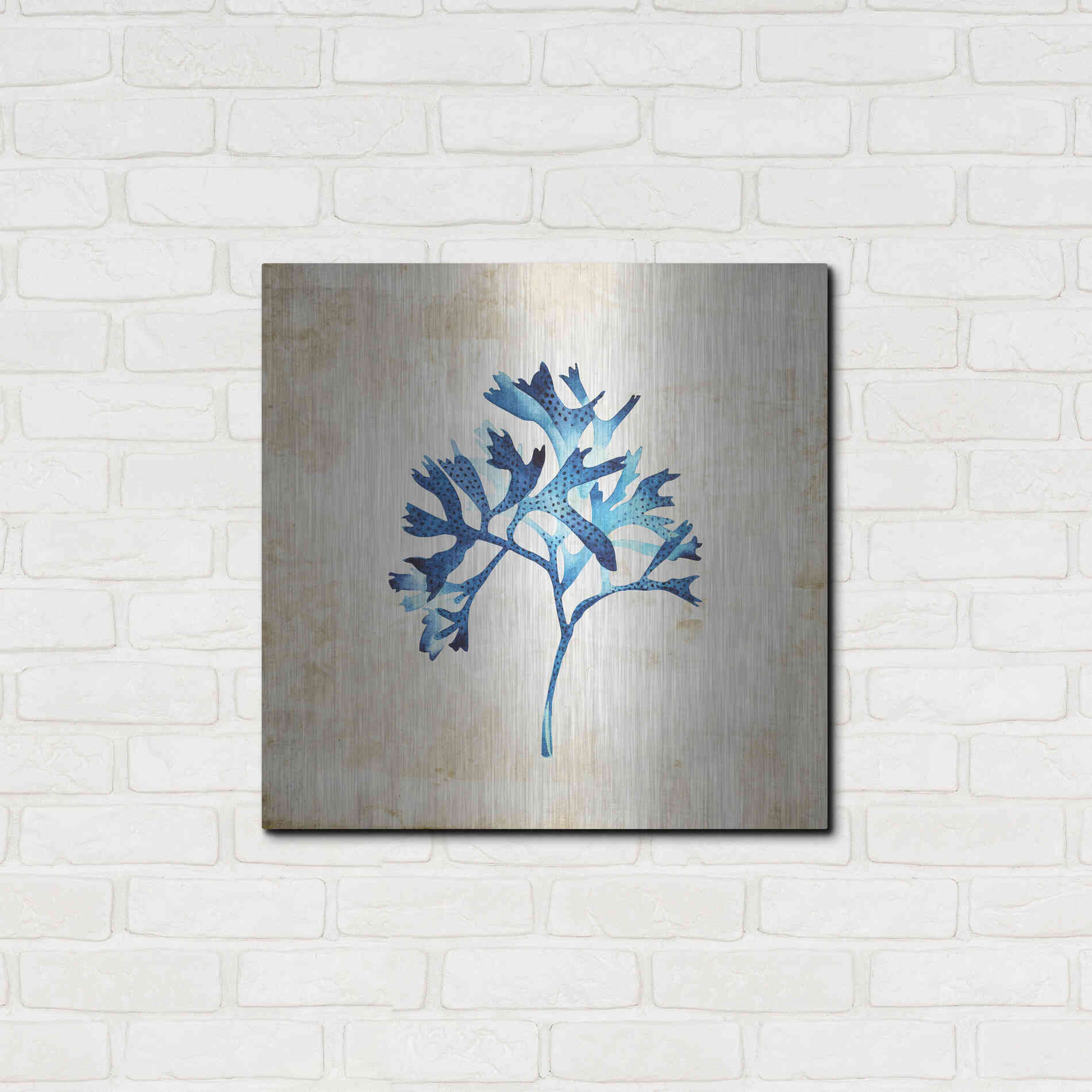 Luxe Metal Art 'Sea Life I' by Incado, Metal Wall Art,24x24