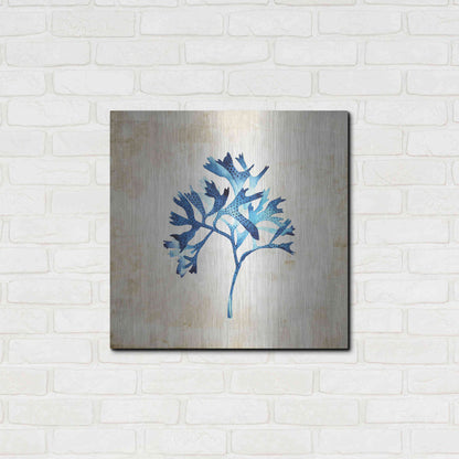 Luxe Metal Art 'Sea Life I' by Incado, Metal Wall Art,24x24