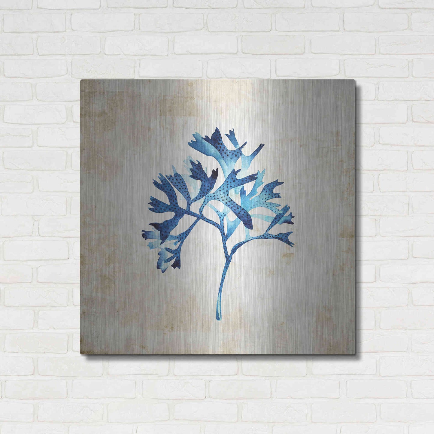 Luxe Metal Art 'Sea Life I' by Incado, Metal Wall Art,36x36