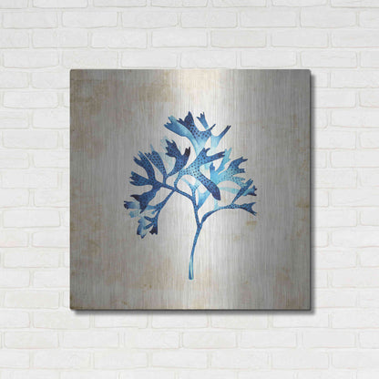 Luxe Metal Art 'Sea Life I' by Incado, Metal Wall Art,36x36