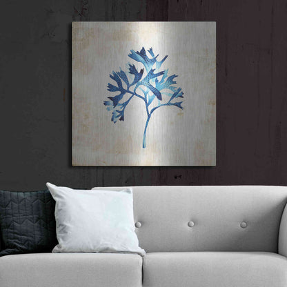 Luxe Metal Art 'Sea Life I' by Incado, Metal Wall Art,36x36