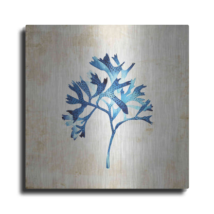 Luxe Metal Art 'Sea Life I' by Incado, Metal Wall Art