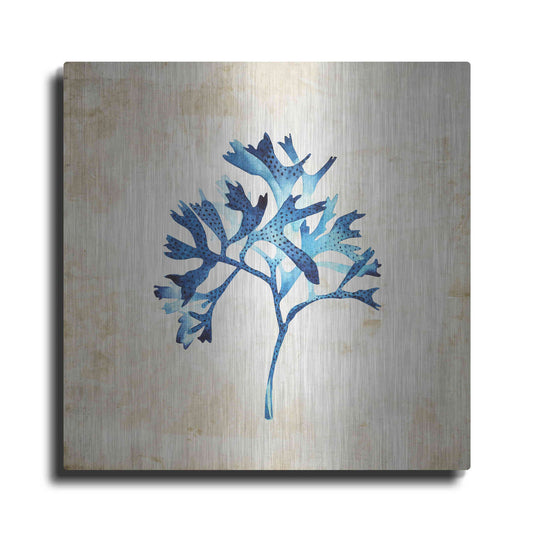 Luxe Metal Art 'Sea Life I' by Incado, Metal Wall Art