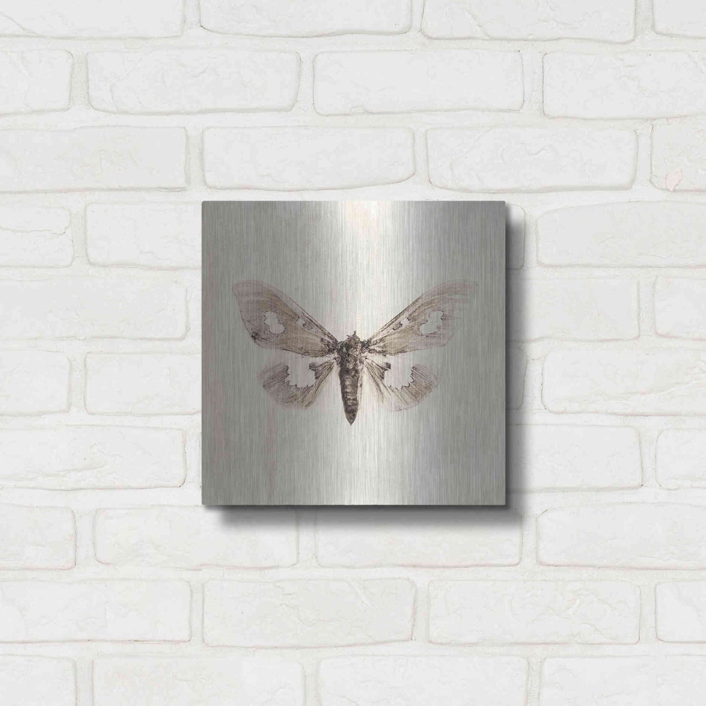 Luxe Metal Art 'Sepia Moth' by Incado, Metal Wall Art,12x12