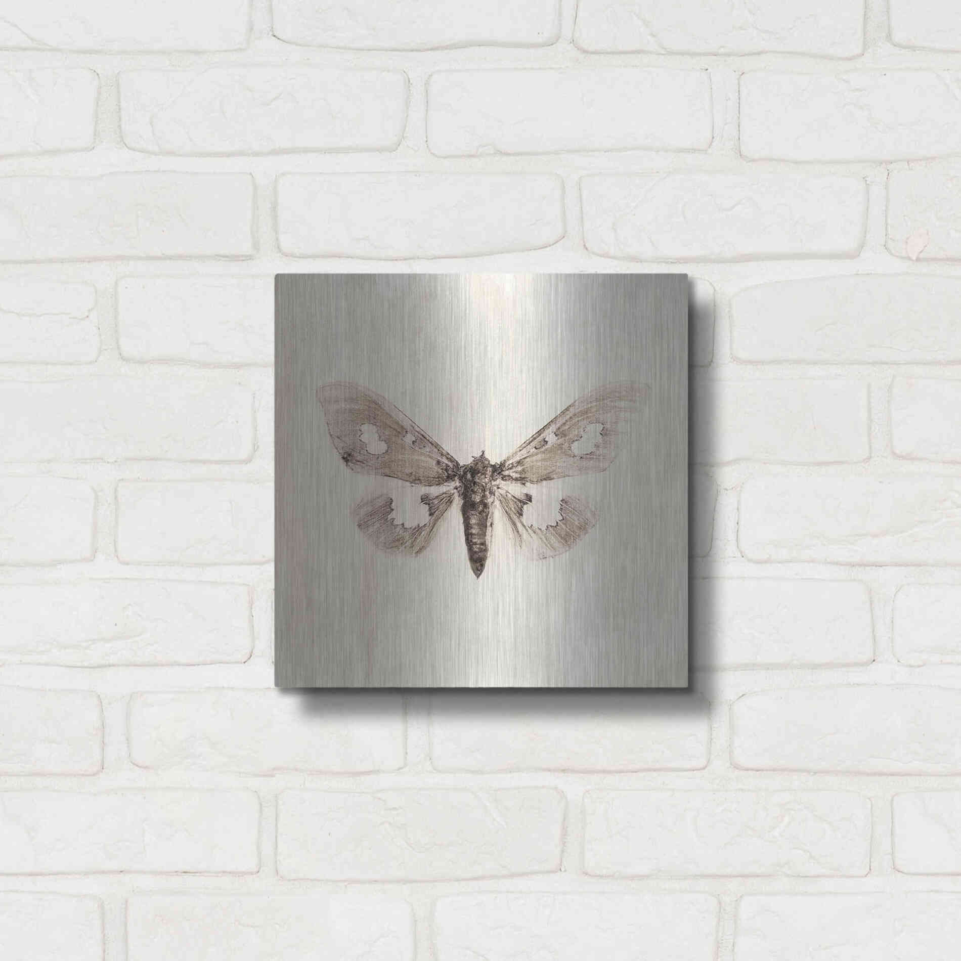 Luxe Metal Art 'Sepia Moth' by Incado, Metal Wall Art,12x12