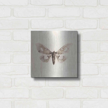 Luxe Metal Art 'Sepia Moth' by Incado, Metal Wall Art,12x12