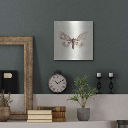 Luxe Metal Art 'Sepia Moth' by Incado, Metal Wall Art,12x12