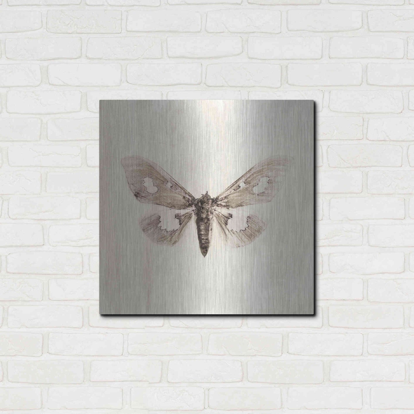 Luxe Metal Art 'Sepia Moth' by Incado, Metal Wall Art,24x24