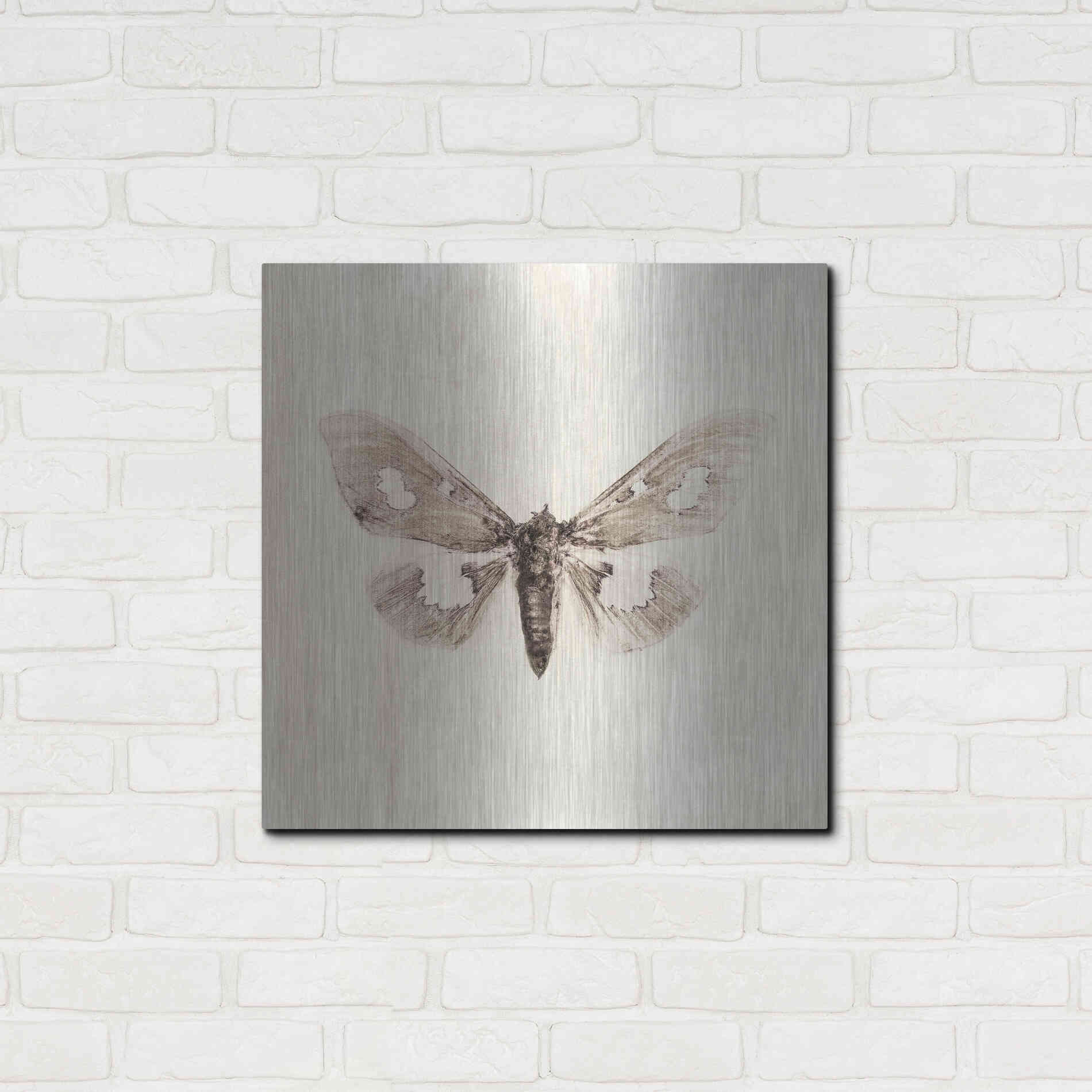 Luxe Metal Art 'Sepia Moth' by Incado, Metal Wall Art,24x24