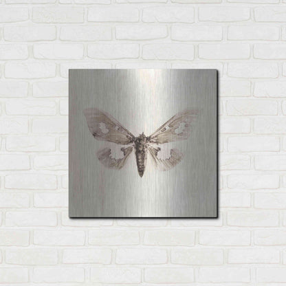 Luxe Metal Art 'Sepia Moth' by Incado, Metal Wall Art,24x24