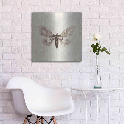 Luxe Metal Art 'Sepia Moth' by Incado, Metal Wall Art,24x24