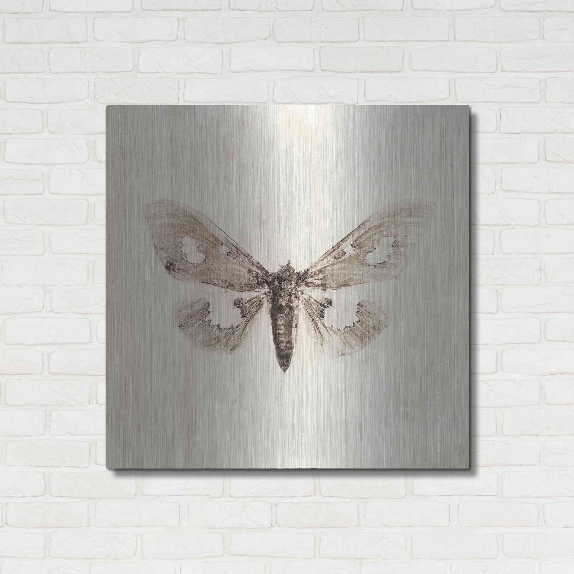 Luxe Metal Art 'Sepia Moth' by Incado, Metal Wall Art,36x36