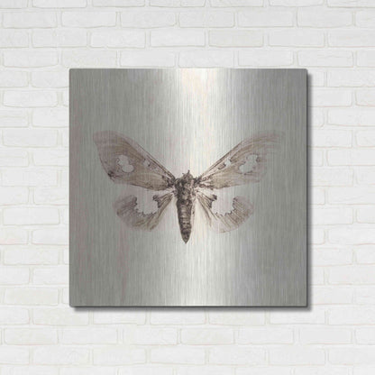 Luxe Metal Art 'Sepia Moth' by Incado, Metal Wall Art,36x36