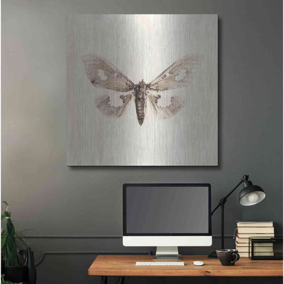 Luxe Metal Art 'Sepia Moth' by Incado, Metal Wall Art,36x36