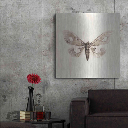 Luxe Metal Art 'Sepia Moth' by Incado, Metal Wall Art,36x36