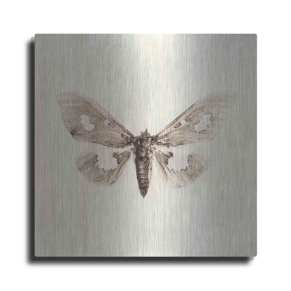 Luxe Metal Art 'Sepia Moth' by Incado, Metal Wall Art
