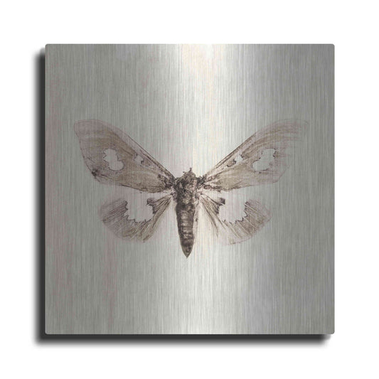 Luxe Metal Art 'Sepia Moth' by Incado, Metal Wall Art