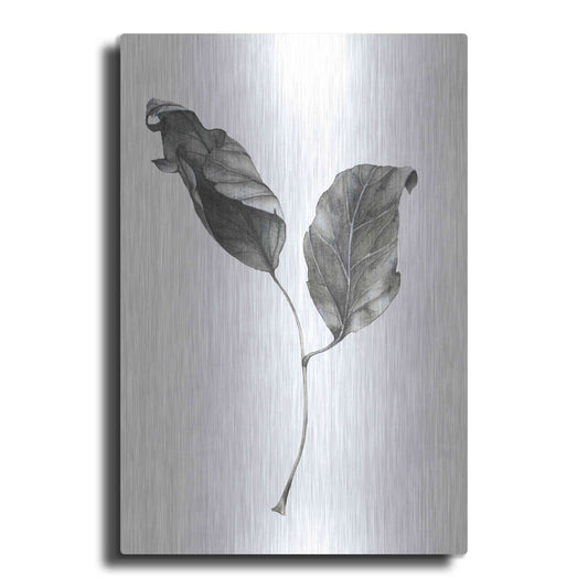 Luxe Metal Art 'Silver Leaf' by Incado, Metal Wall Art