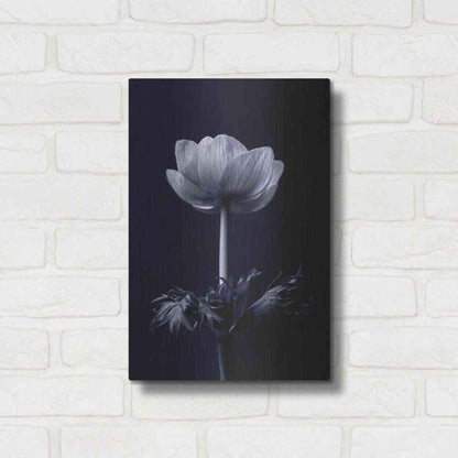 Luxe Metal Art 'Single Flower' by Incado, Metal Wall Art,12x16