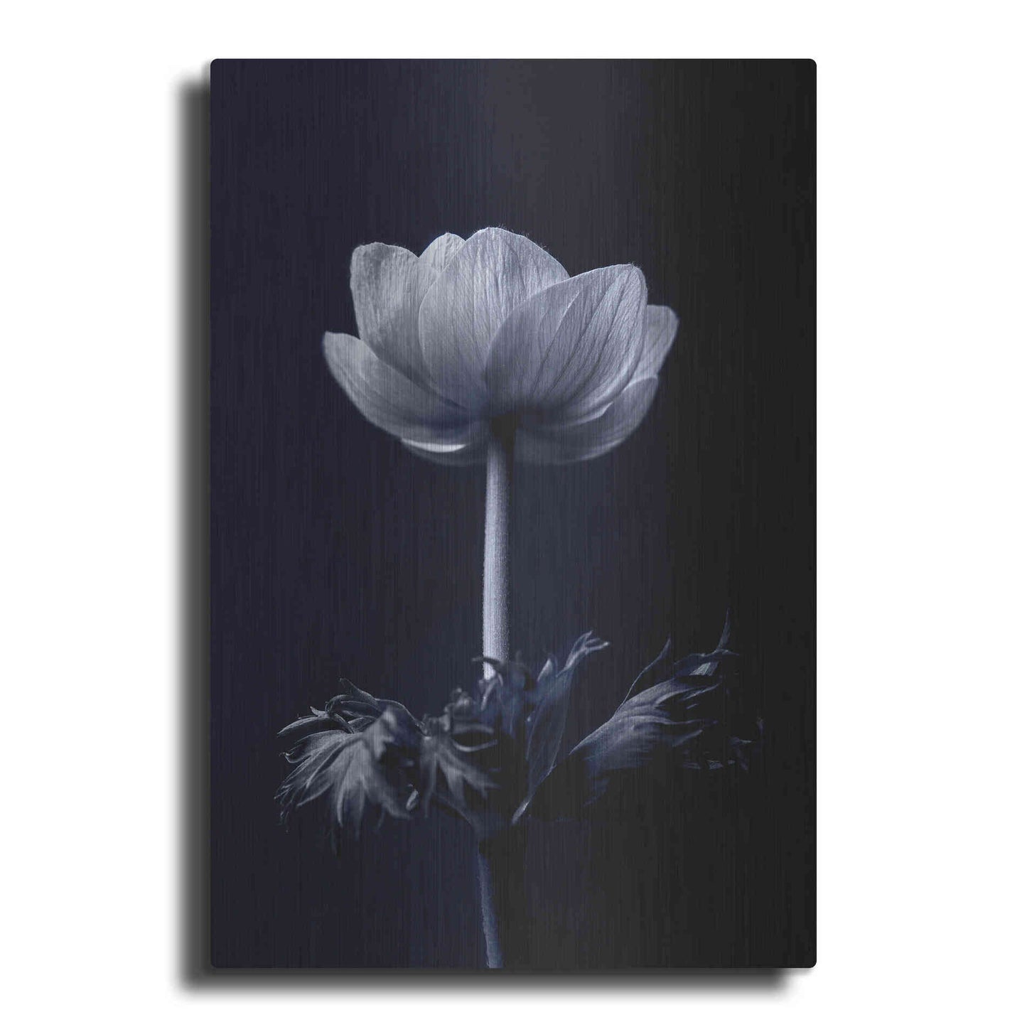 Luxe Metal Art 'Single Flower' by Incado, Metal Wall Art