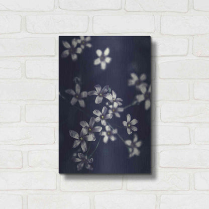 Luxe Metal Art 'Small Flowers' by Incado, Metal Wall Art,12x16