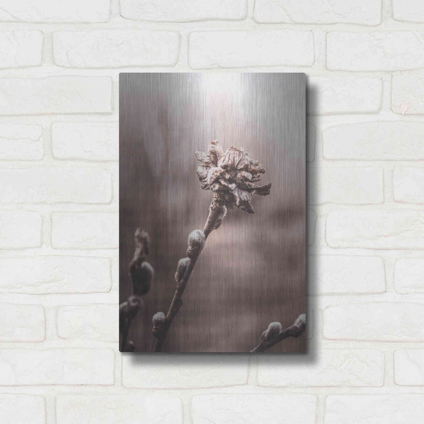 Luxe Metal Art 'Spring' by Incado, Metal Wall Art,12x16