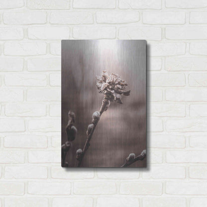 Luxe Metal Art 'Spring' by Incado, Metal Wall Art,16x24