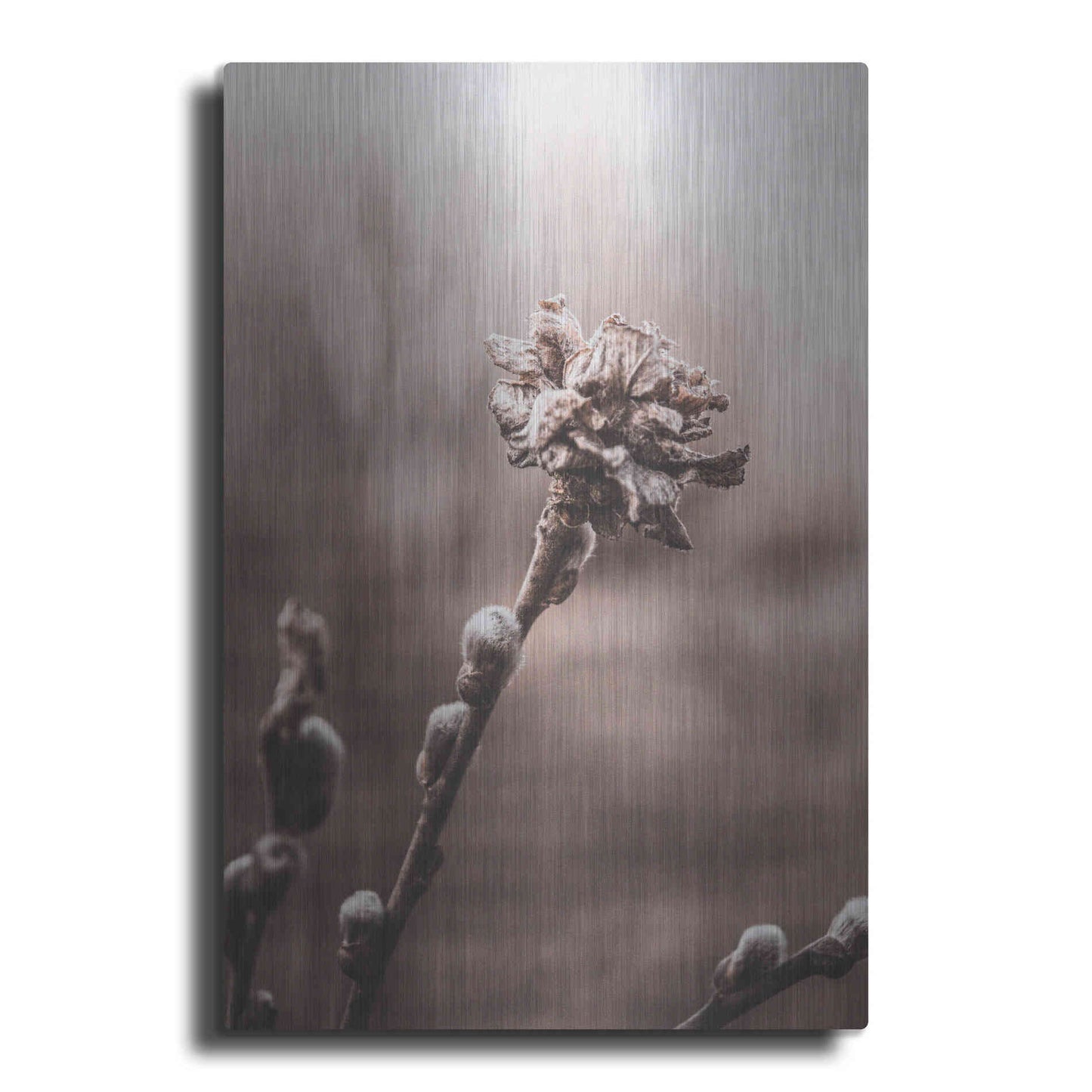 Luxe Metal Art 'Spring' by Incado, Metal Wall Art