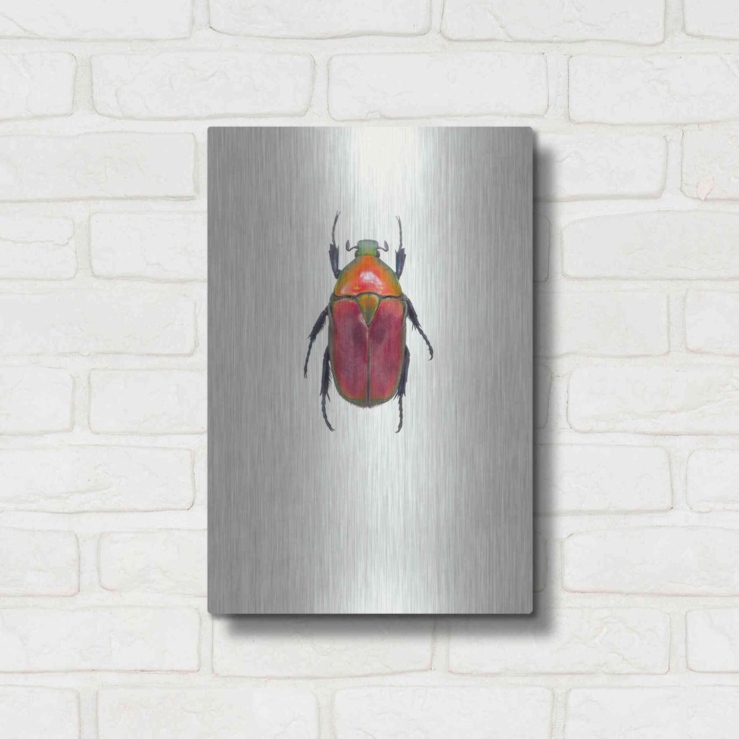 Luxe Metal Art 'Torynorrhina Flammea' by Incado, Metal Wall Art,12x16