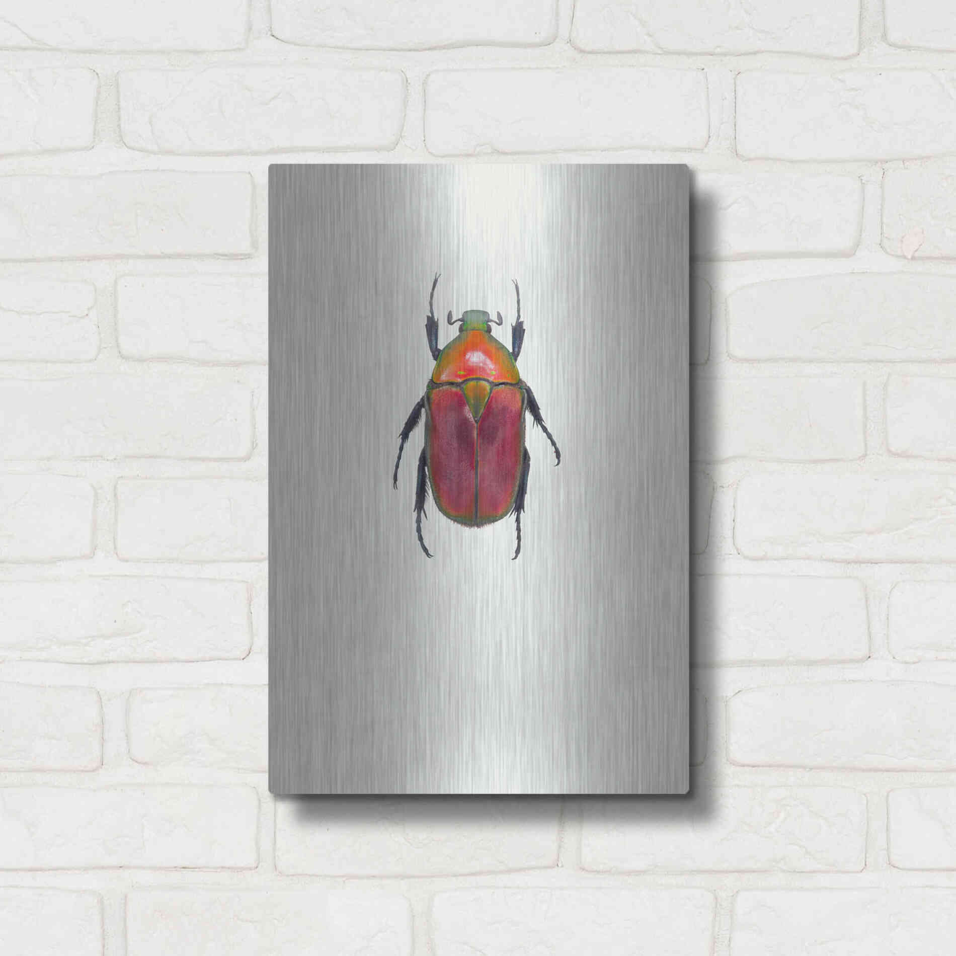 Luxe Metal Art 'Torynorrhina Flammea' by Incado, Metal Wall Art,12x16
