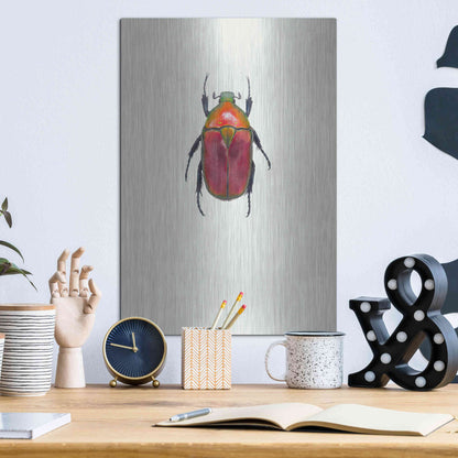 Luxe Metal Art 'Torynorrhina Flammea' by Incado, Metal Wall Art,12x16